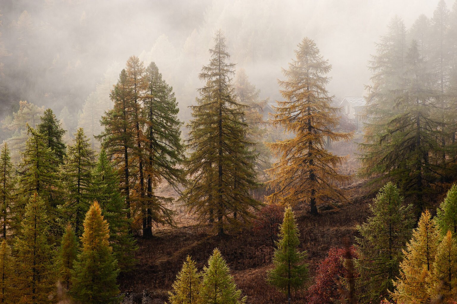 Stage Photo Montagne en Clarée avec Alexandre Deschaumes - Brumes automnales