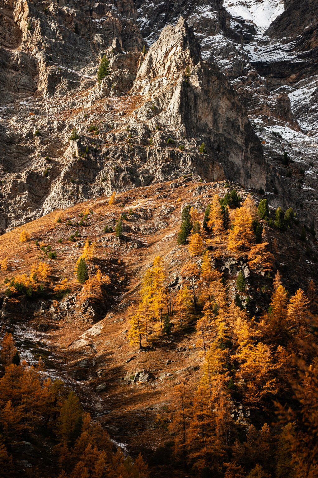 Stage Photo Montagne avec Alexandre Deschaumes - La Vallée Étroite en automne
