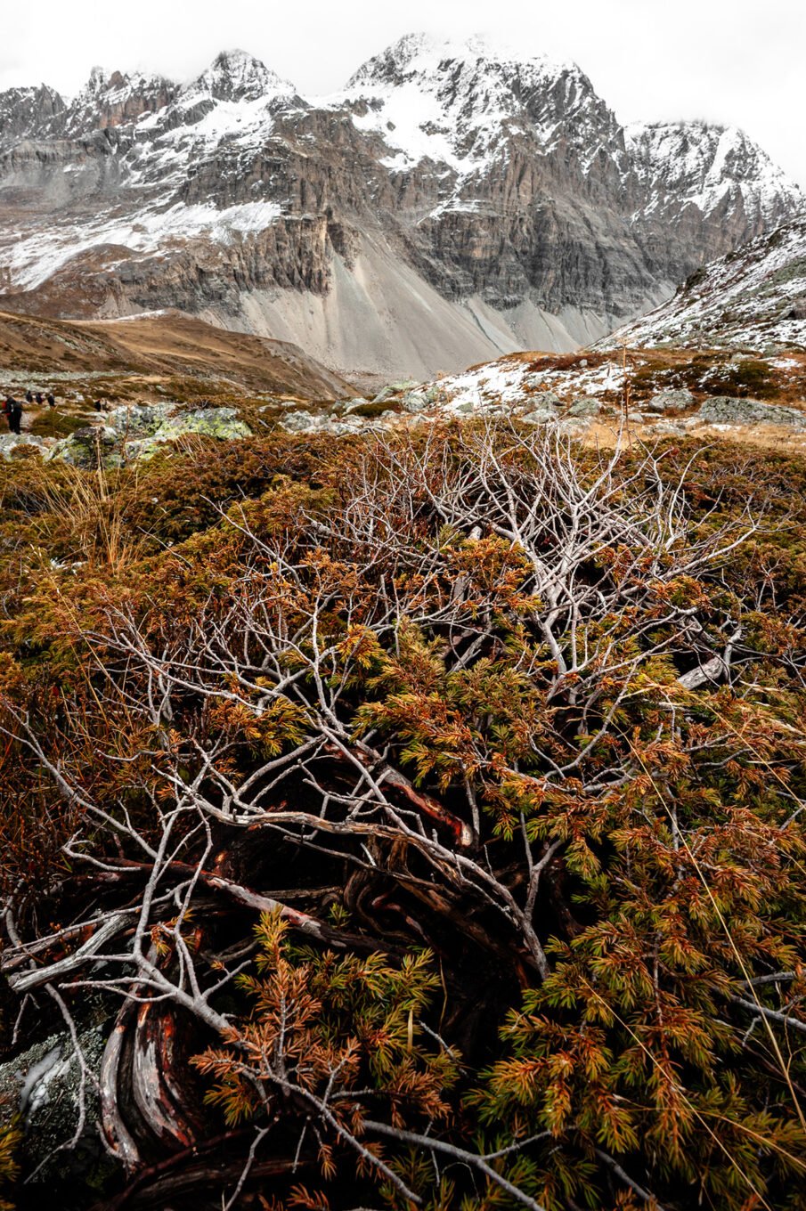 Stage Photo Montagne en Clarée avec Alexandre Deschaumes - La Roche Bernaude