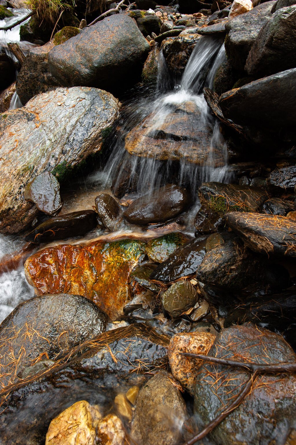 Stage Photo avec Alexandre Deschaumes - Filés de torrents de montagne