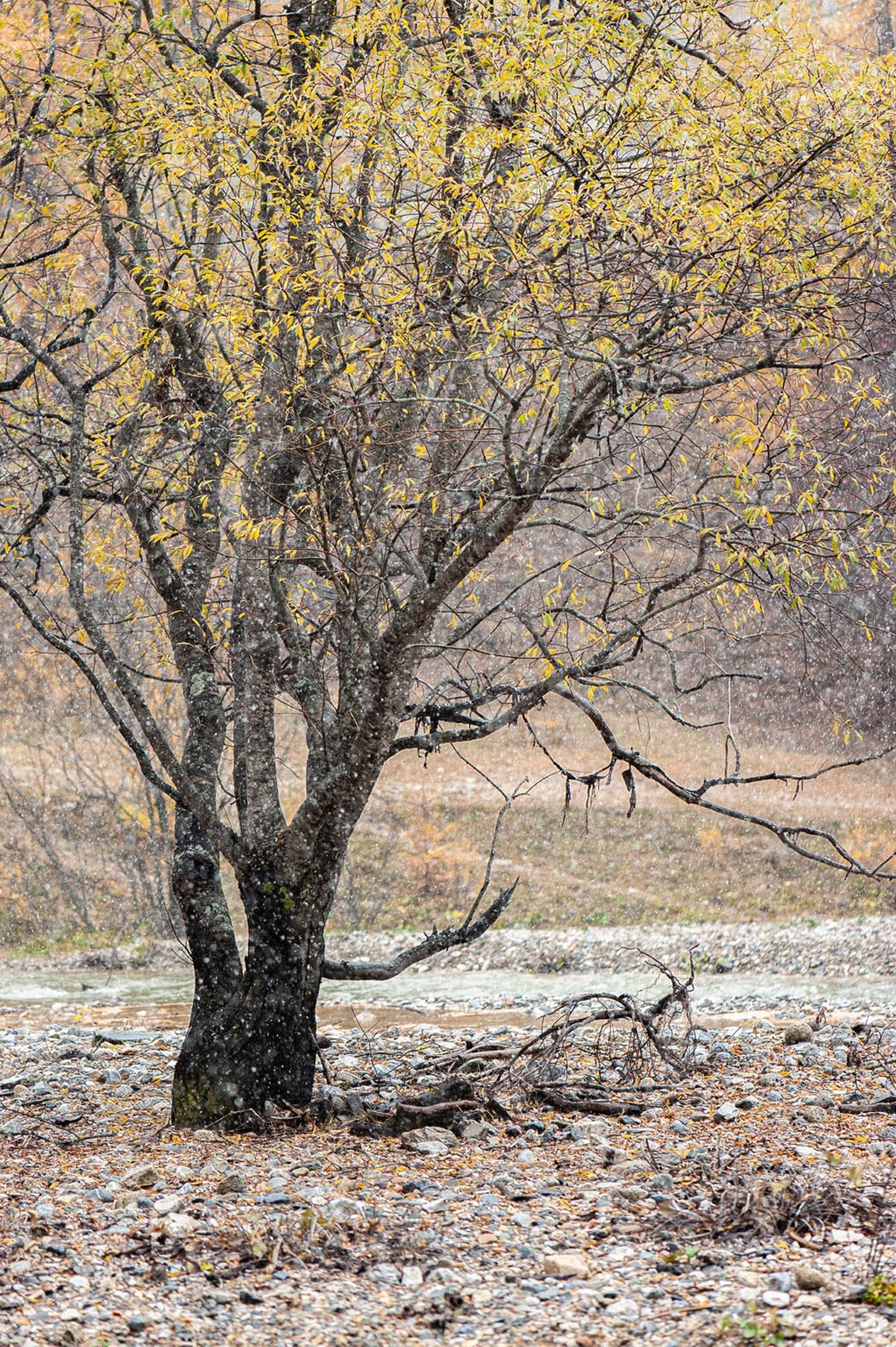 Stage Photo Montagne en Clarée avec Alexandre Deschaumes - La Vallée Étroite enneigée
