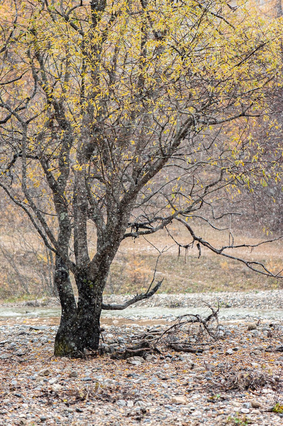 Stage Photo Montagne en Clarée avec Alexandre Deschaumes - La Vallée Étroite enneigée