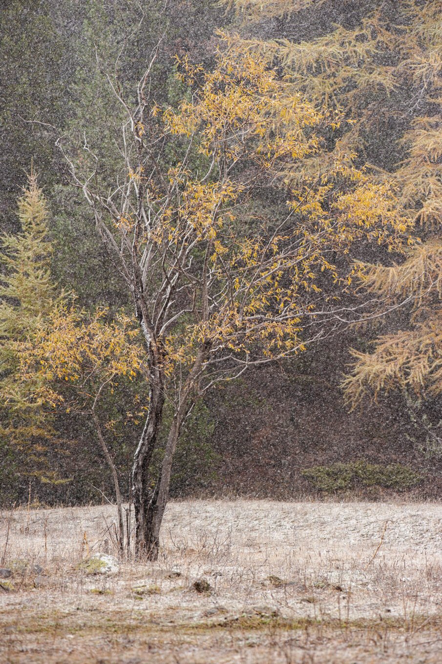 Stage Photo Montagne en Clarée avec Alexandre Deschaumes - La Vallée Étroite enneigée