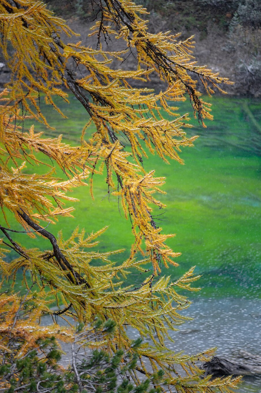 Stage Photo Montagne en Clarée avec Alexandre Deschaumes - Le Lac Vert de la Vallée Étroite