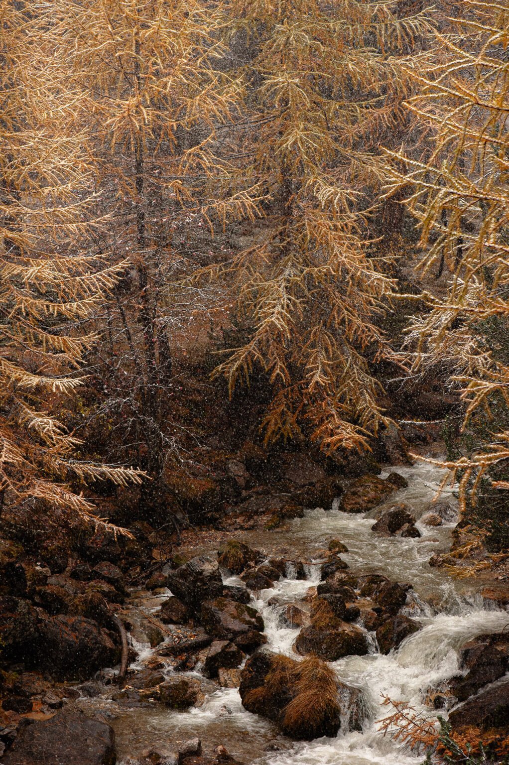 Stage Photo Montagne en Clarée avec Alexandre Deschaumes - Torrent de la vallée étroite
