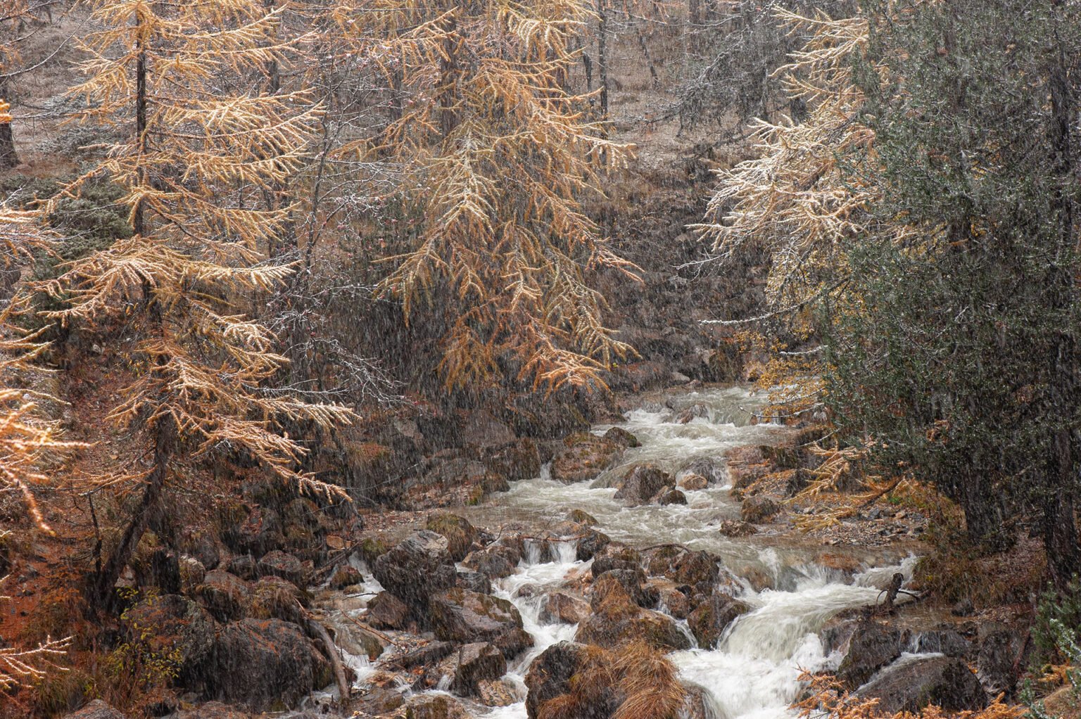 Stage Photo Montagne en Clarée avec Alexandre Deschaumes - Torrent de la vallée étroite