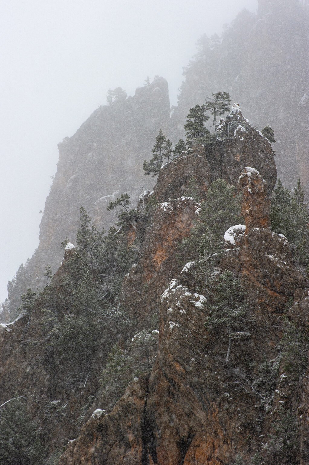 Stage Photo Montagne avec Alexandre Deschaumes - Nature sous la neige