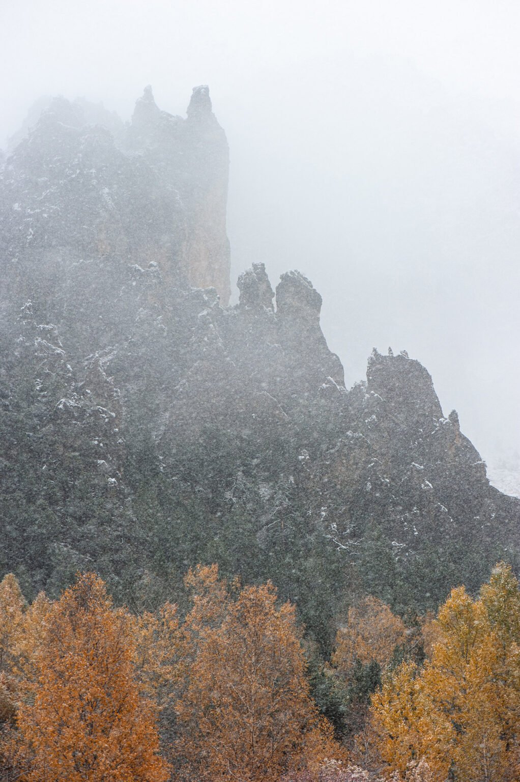 Stage Photo Montagne avec Alexandre Deschaumes - Nature sous la neige