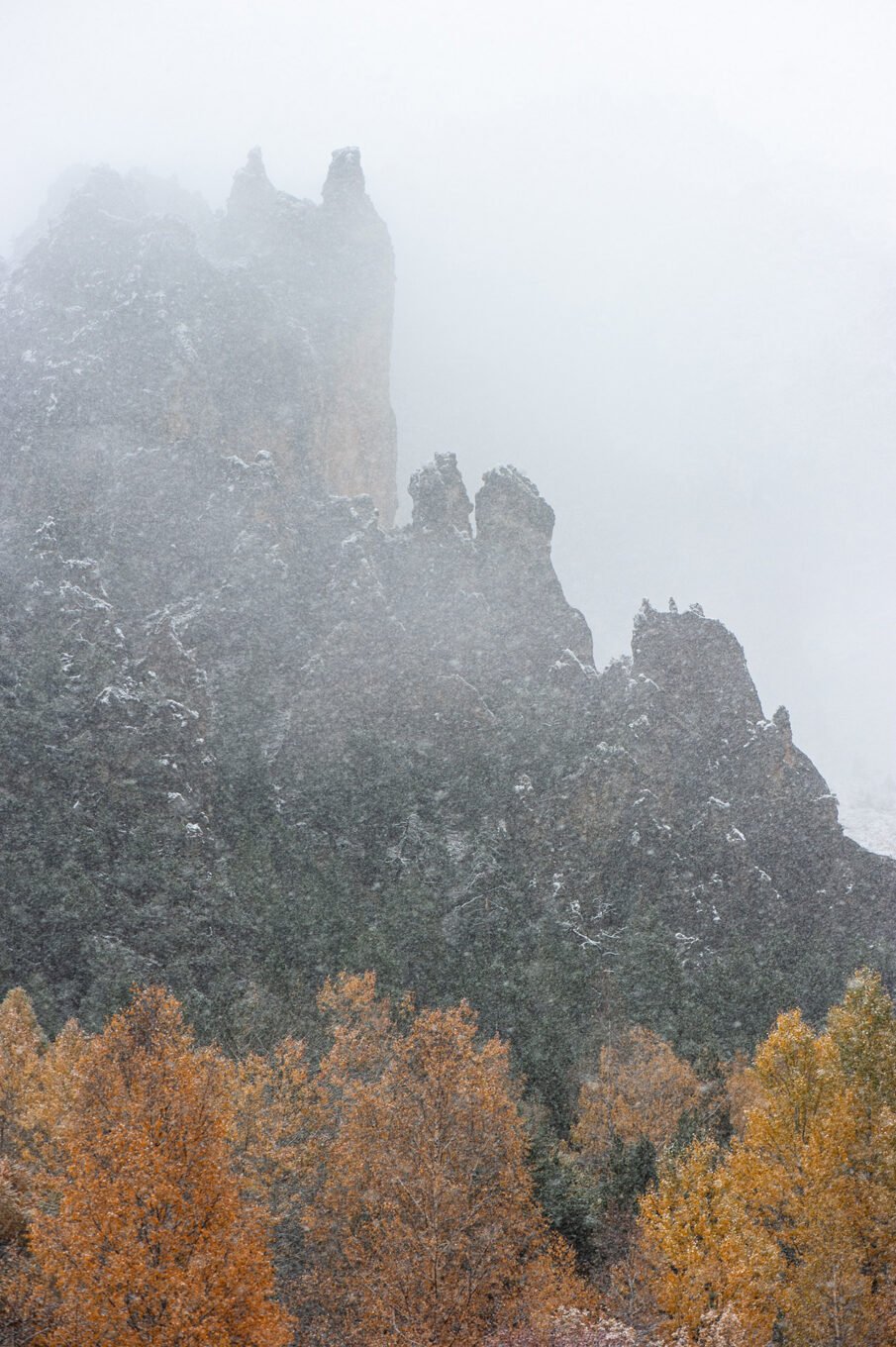Stage Photo Montagne avec Alexandre Deschaumes - Nature sous la neige