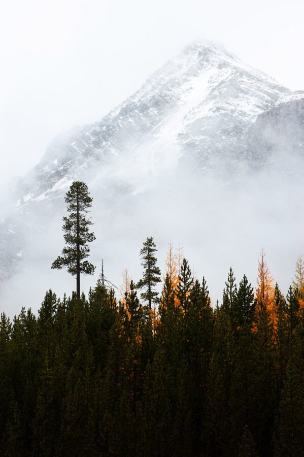 Stage Photo Montagne avec Alexandre Deschaumes - Sommet du Lasseron