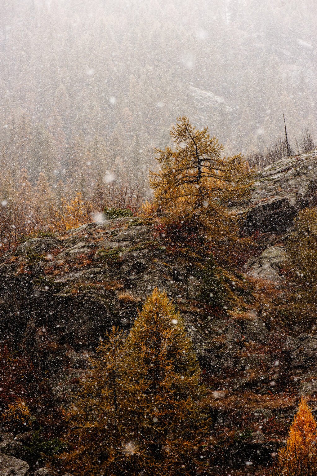Stage Photo Montagne en Clarée avec Alexandre Deschaumes - Neiges d'automne