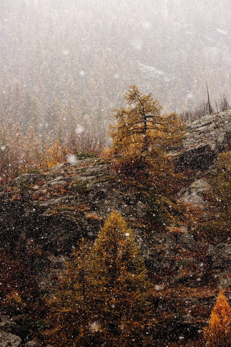 Stage Photo Montagne en Clarée avec Alexandre Deschaumes - Neiges d'automne
