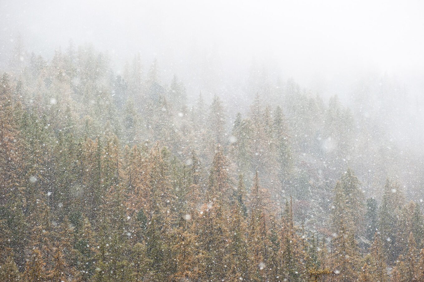 Stage Photo Montagne en Clarée avec Alexandre Deschaumes - Neiges d'automne