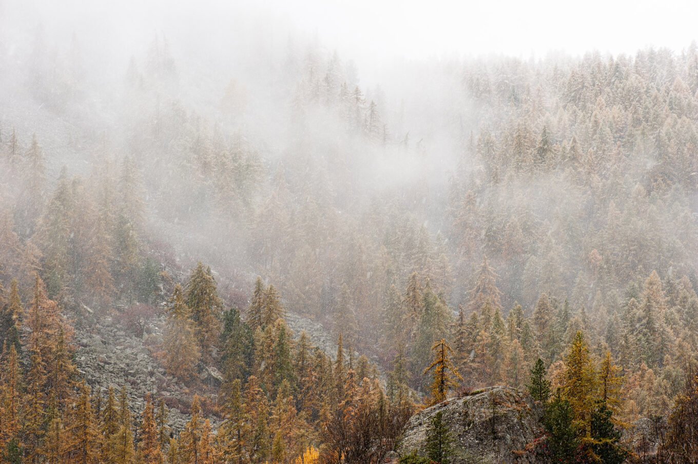 Stage Photo Montagne en Clarée avec Alexandre Deschaumes - Neiges d'automne
