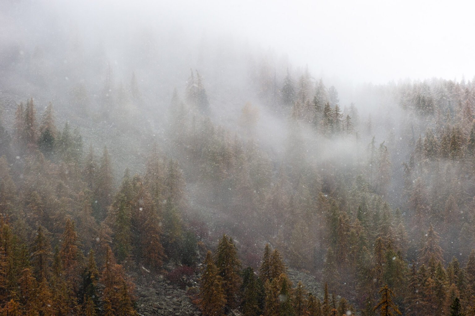 Stage Photo Montagne en Clarée avec Alexandre Deschaumes - Neiges d'automne