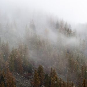 Stage Photo Montagne en Clarée avec Alexandre Deschaumes - Neiges d'automne
