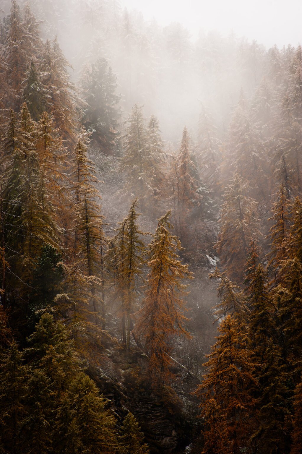 Stage Photo Montagne en Clarée avec Alexandre Deschaumes - Brumes automnales