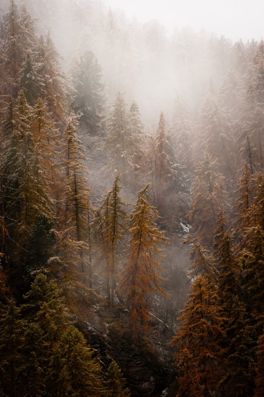 Stage Photo Montagne en Clarée avec Alexandre Deschaumes - Brumes automnales
