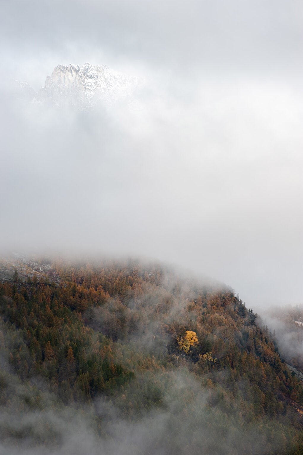 Stage Photo Montagne en Clarée avec Alexandre Deschaumes - Brumes automnales