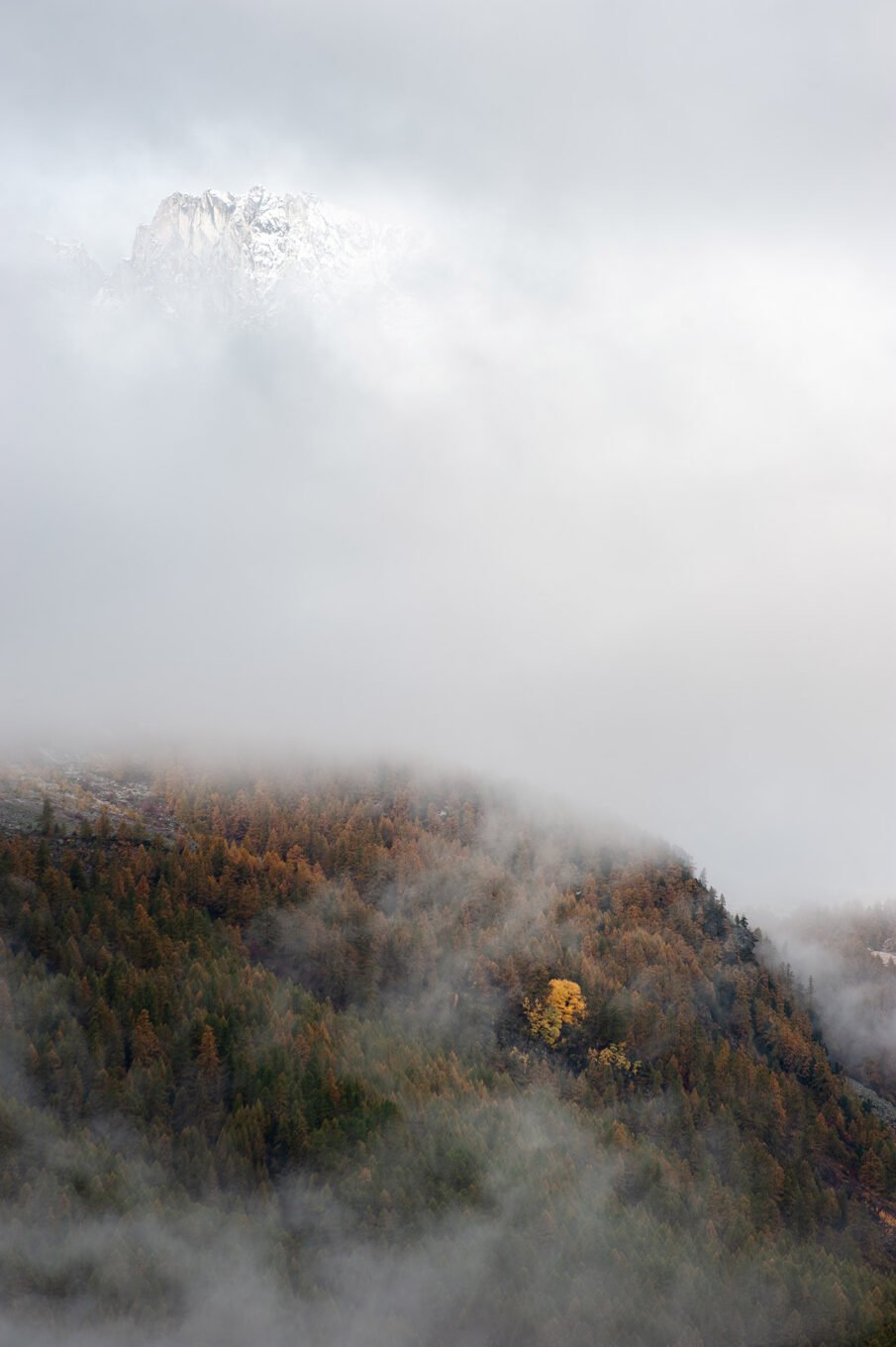 Stage Photo Montagne en Clarée avec Alexandre Deschaumes - Brumes automnales