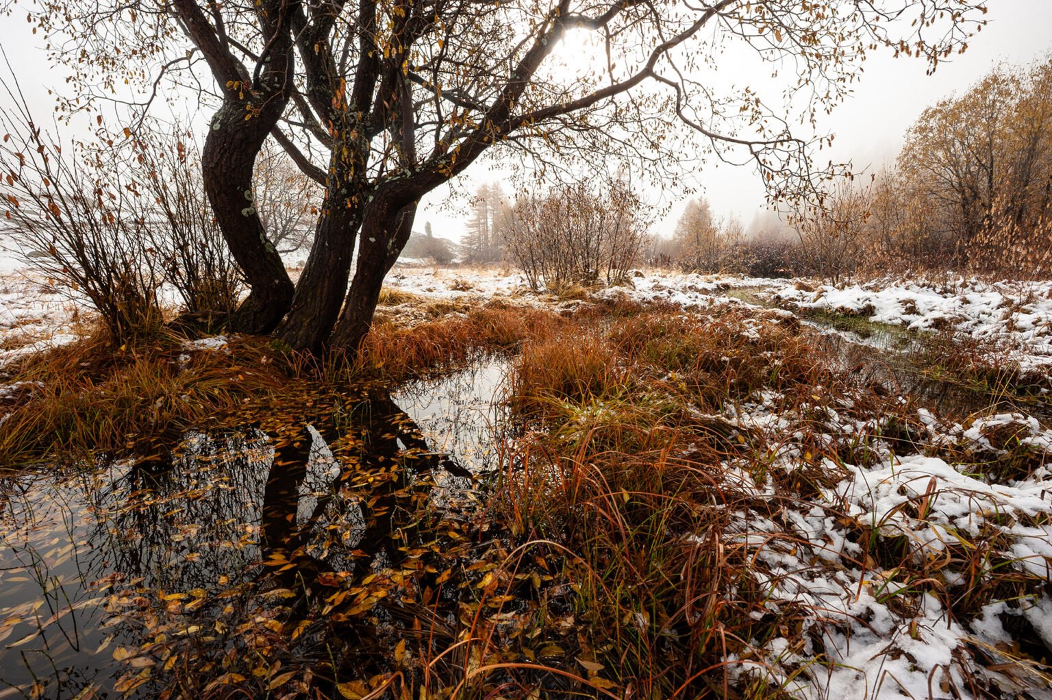 Stage Photo Montagne en Clarée avec Alexandre Deschaumes - Neiges automnales