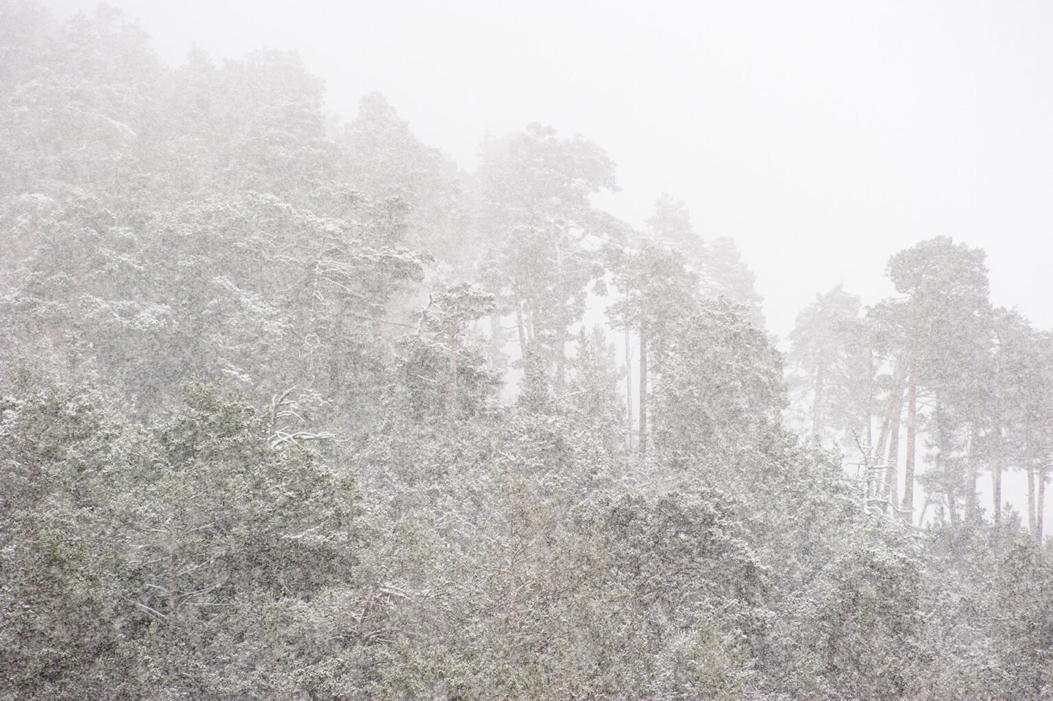 Stage Photo Montagne avec Alexandre Deschaumes - Nature sous la neige