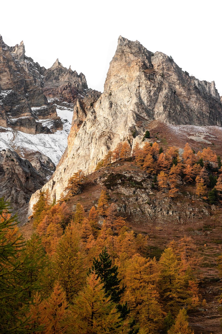 Stage Photo Montagne avec Alexandre Deschaumes - La Vallée Étroite en automne