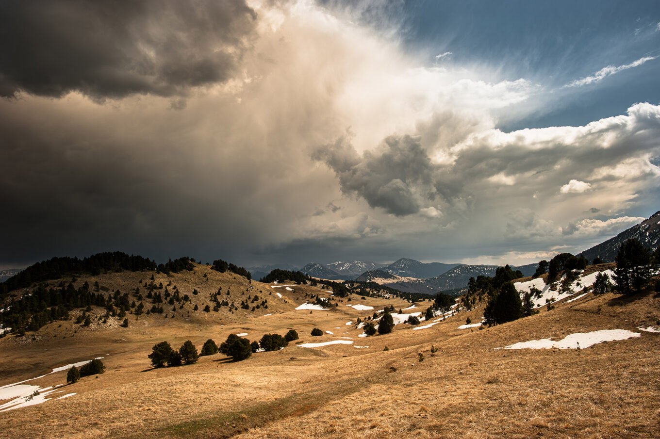 Photographe professionnel montagne nature, Hauts Plateaux du Vercors