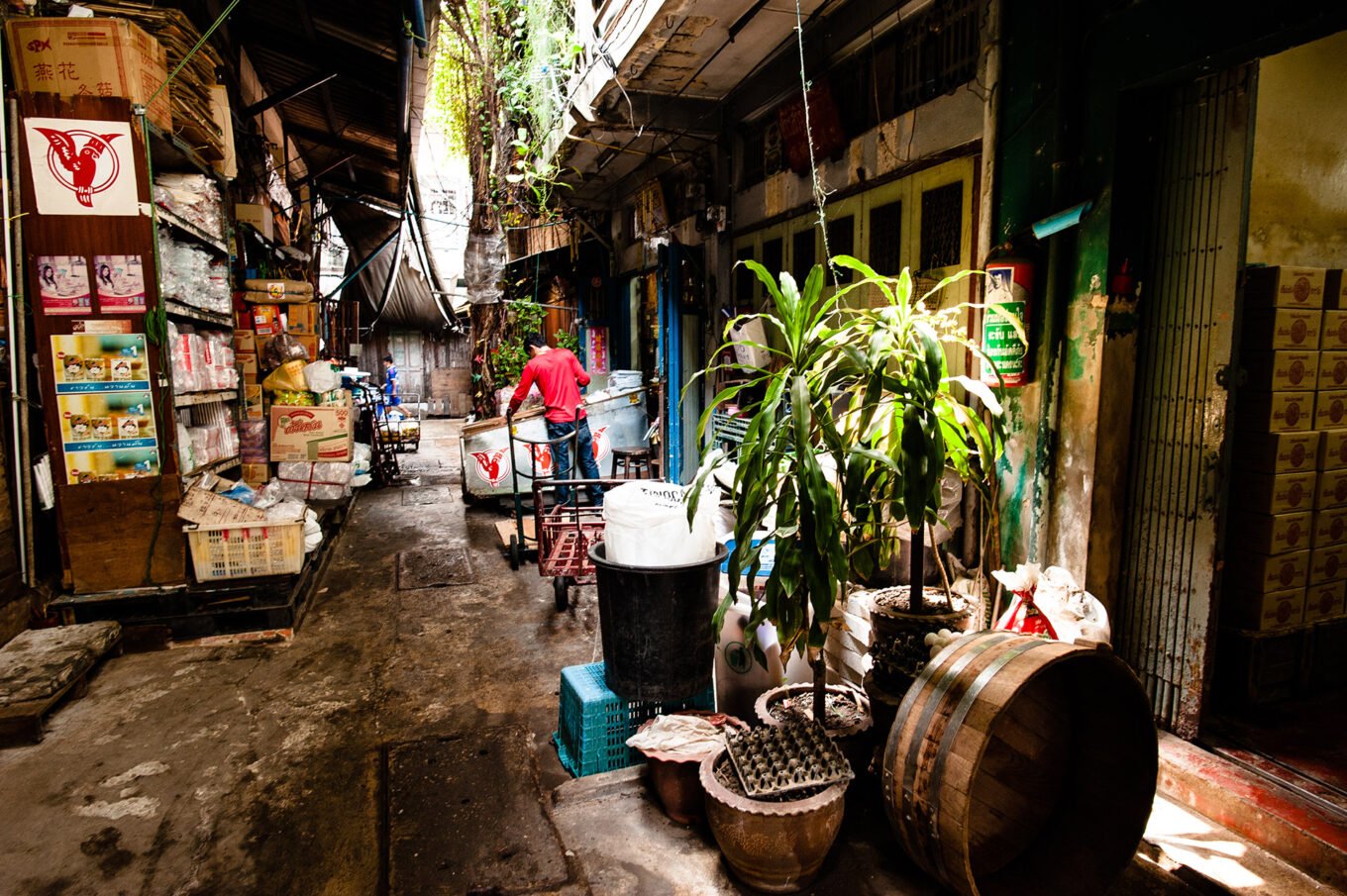 Voyage en Thaïlande