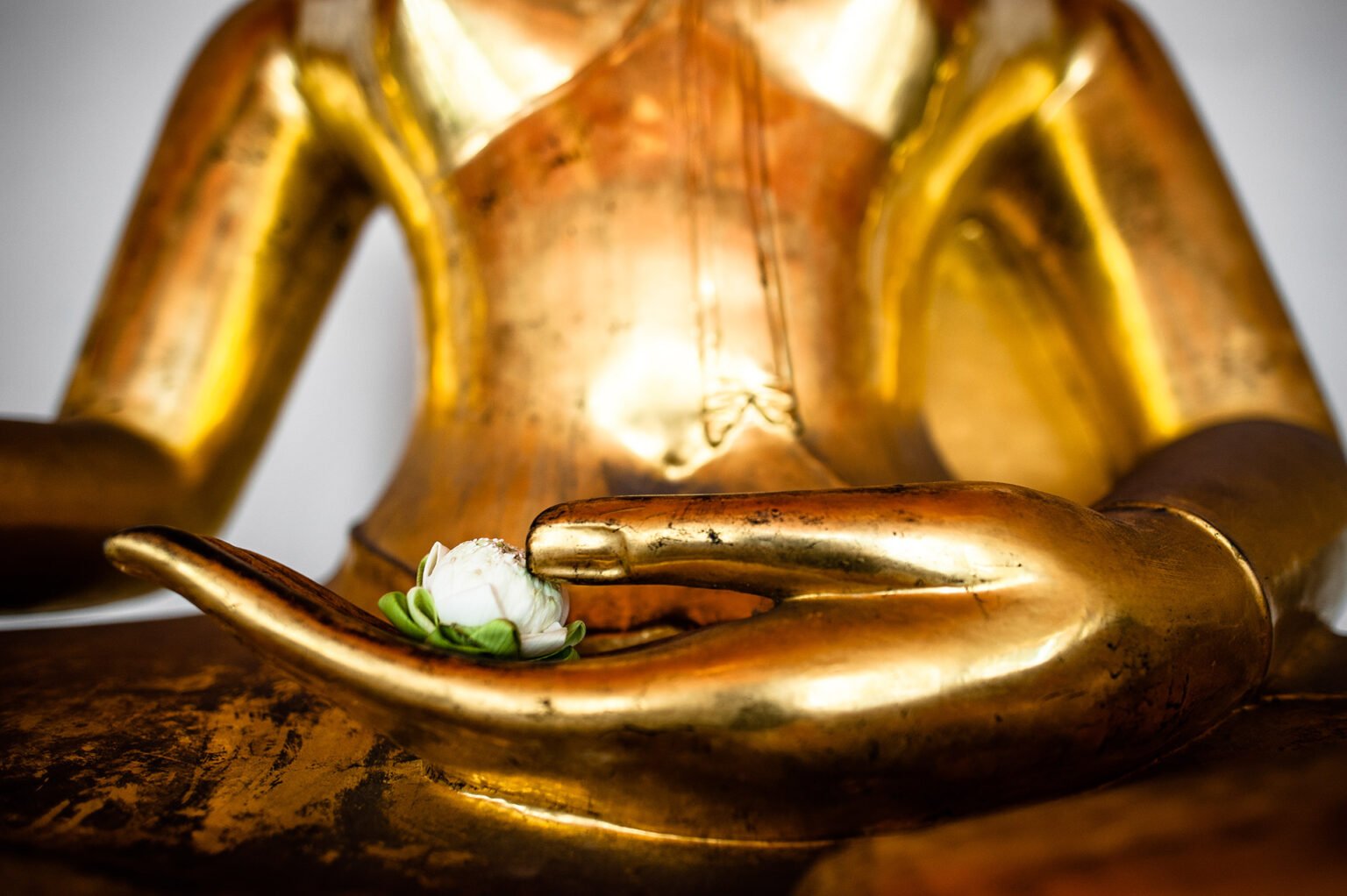 Voyage en Thaïlande - Fleur de Bouddha